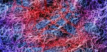 Blue, red, purple and pink strings laying overtop of one another